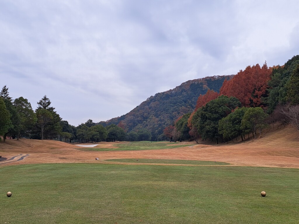 江東区大島のゴルフスクール・いもりゴルフSSのいもり的ゴルフ場ガイドです