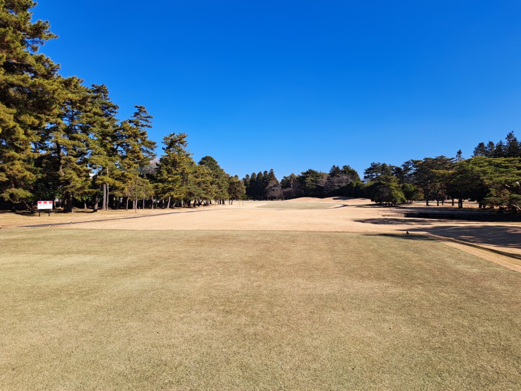 江東区大島いもりゴルフサポートSのいもり的ゴルフ場ガイド！