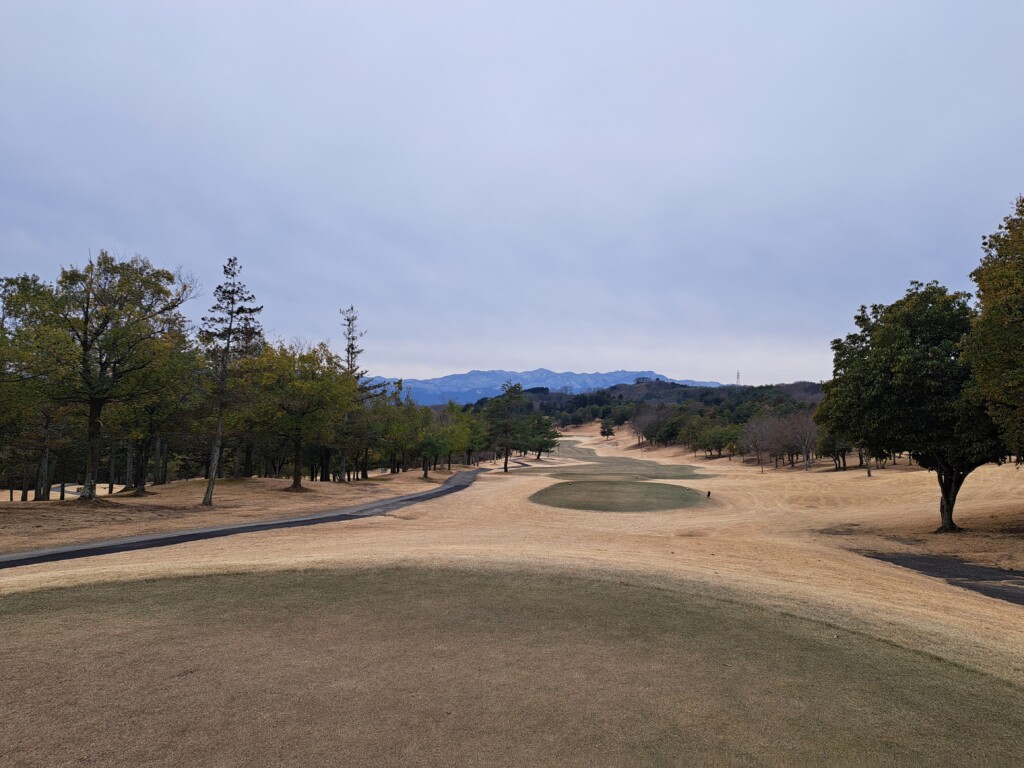 江東区大島・いもりゴルフサポートスタジオのいもり的ゴルフ場ガイド！富岡倶楽部編