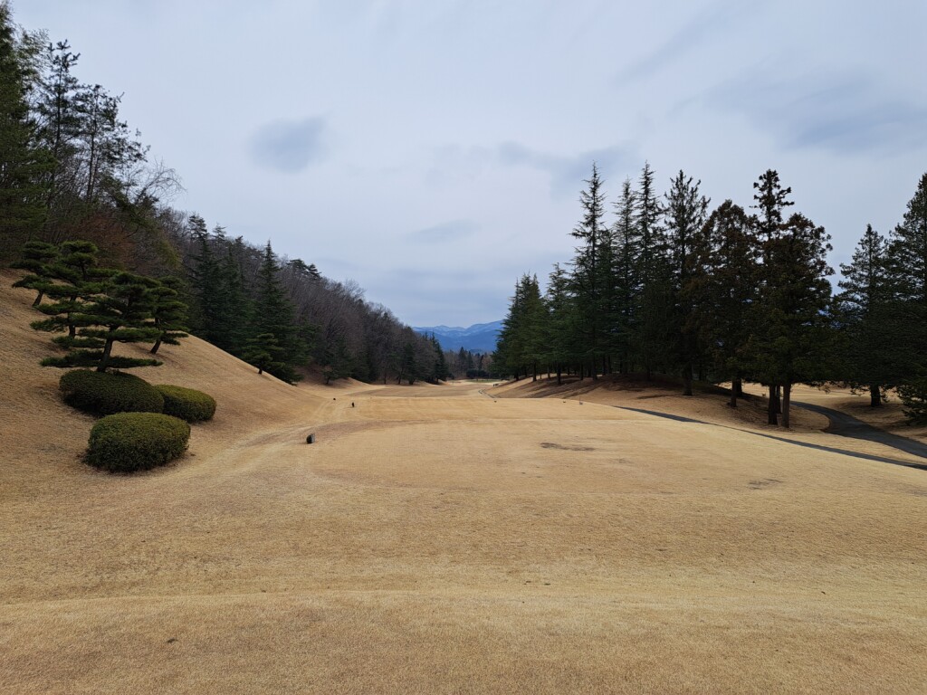 江東区大島いもりゴルフサポートスタジオのゴルフ場ガイド！