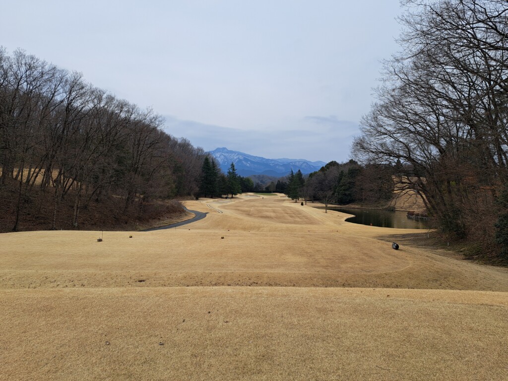 江東区大島いもりゴルフサポートスタジオのゴルフ場ガイド！