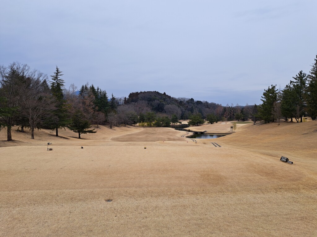 江東区大島いもりゴルフサポートスタジオのゴルフ場ガイド！