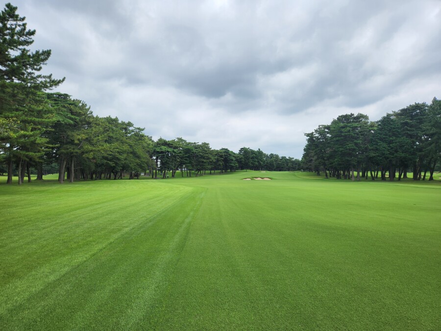 江東区大島のゴルフレッスン・いもりGSSのいもり的ゴルフ場ガイド！特別編・我孫子（あびこ）GC!