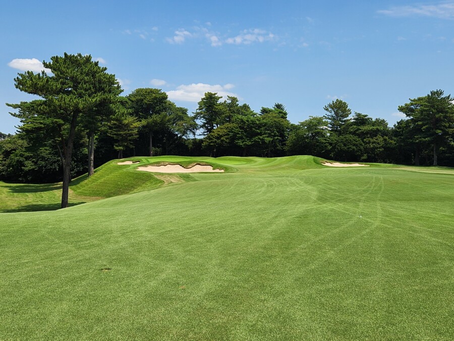 江東区大島のゴルフレッスン・いもりGSSのいもり的ゴルフ場ガイド！特別編・我孫子（あびこ）GC!