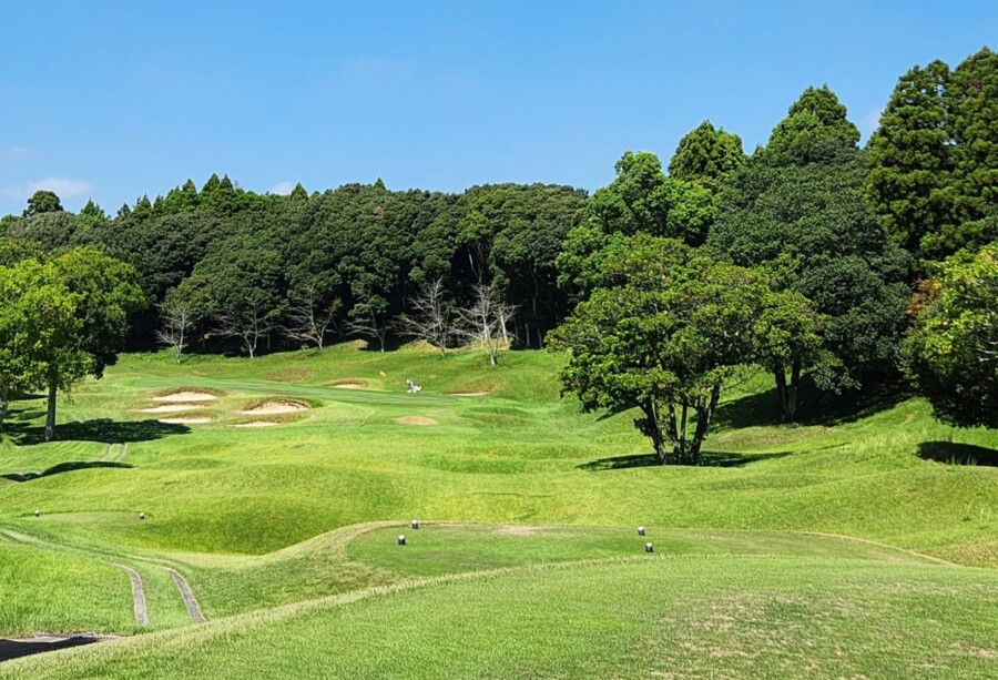 江東区大島のゴルフスクール・いもりゴルフSSのいもり的ゴルフ場ガイド・小見川東急GC編