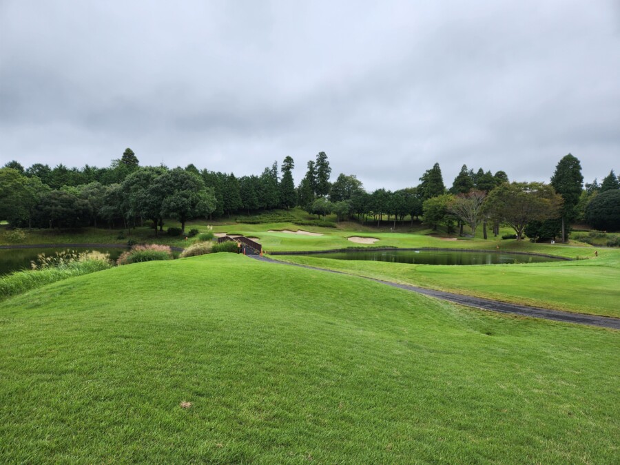 江東区大島のゴルフレッスン・いもりゴルフサポートスタジオのいもり的ゴルフ場ガイド・東千葉CC編