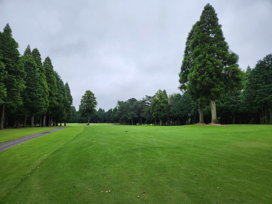 江東区大島のゴルフレッスン・いもりゴルフサポートスタジオのいもり的ゴルフ場ガイド・東千葉CC編