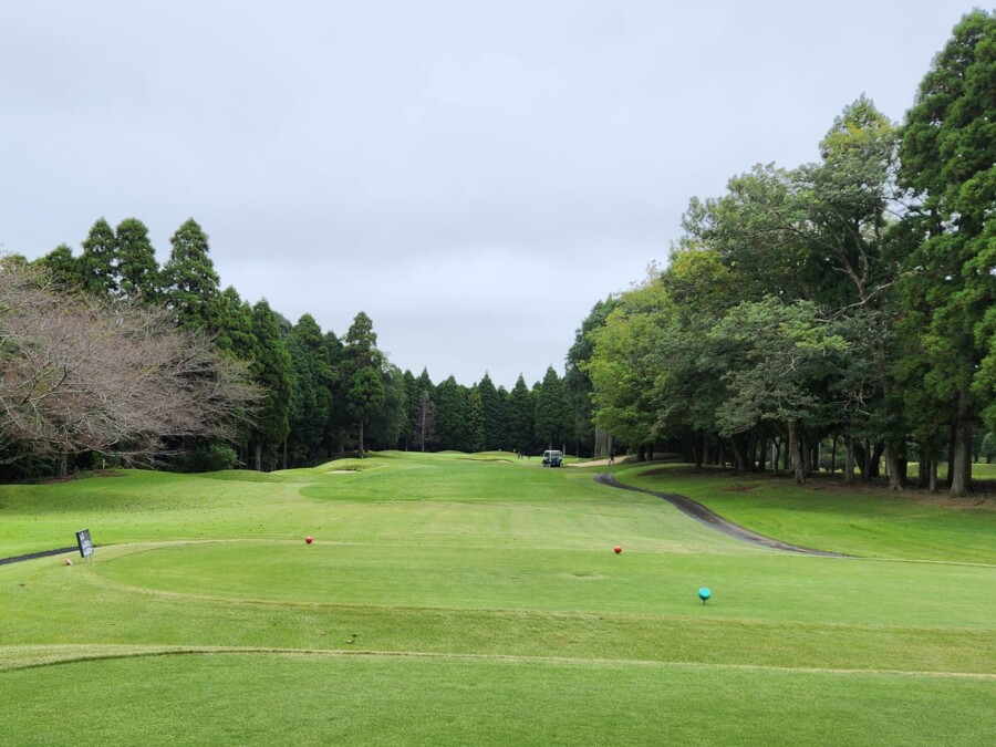 江東区大島のゴルフレッスン・いもりゴルフサポートスタジオのいもり的ゴルフ場ガイド・東千葉CC編