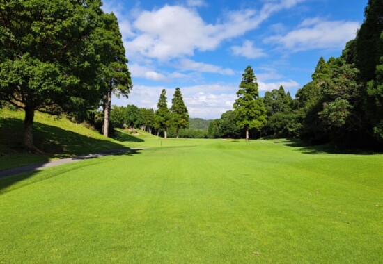 江東区大島のゴルフレッスンなら、いもりゴルフサポートスタジオ！