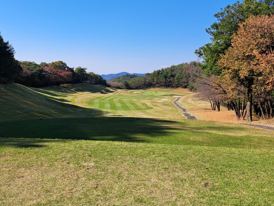 江東区大島のゴルフレッスン・いもりGSSのいもり的ゴルフ場ガイド・つつじが丘CC編