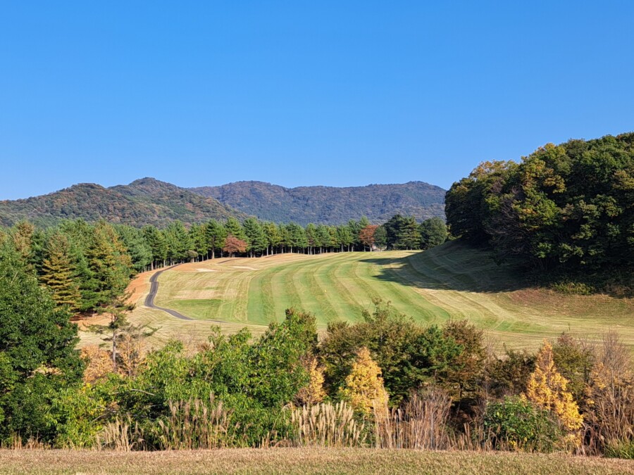 江東区大島のゴルフレッスン・いもりGSSのいもり的ゴルフ場ガイド・つつじが丘CC編