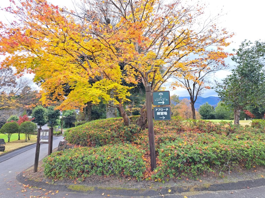 いもり的ゴルフ場ガイド・山梨県オリムピックCC編