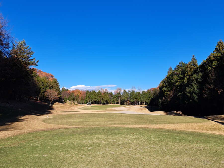 江東区大島のゴルフスクールのいもり的ゴルフ場ガイド！