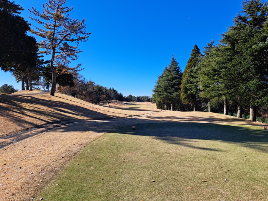 江東区大島のゴルフスクールのいもり的ゴルフ場ガイド・市原ゴルフ市原C編