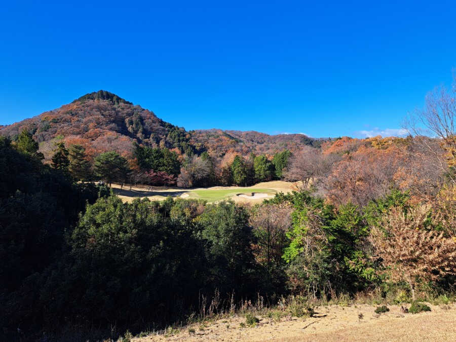 江東区大島のゴルフスクールのいもり的ゴルフ場ガイド！