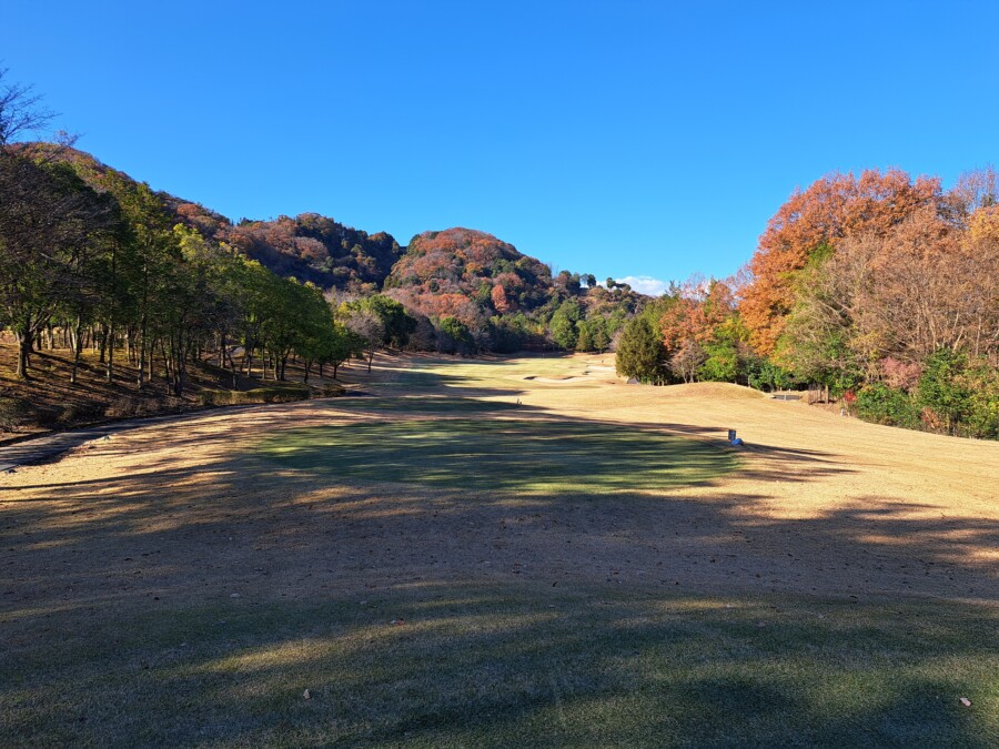 江東区大島のゴルフスクールのいもり的ゴルフ場ガイド！