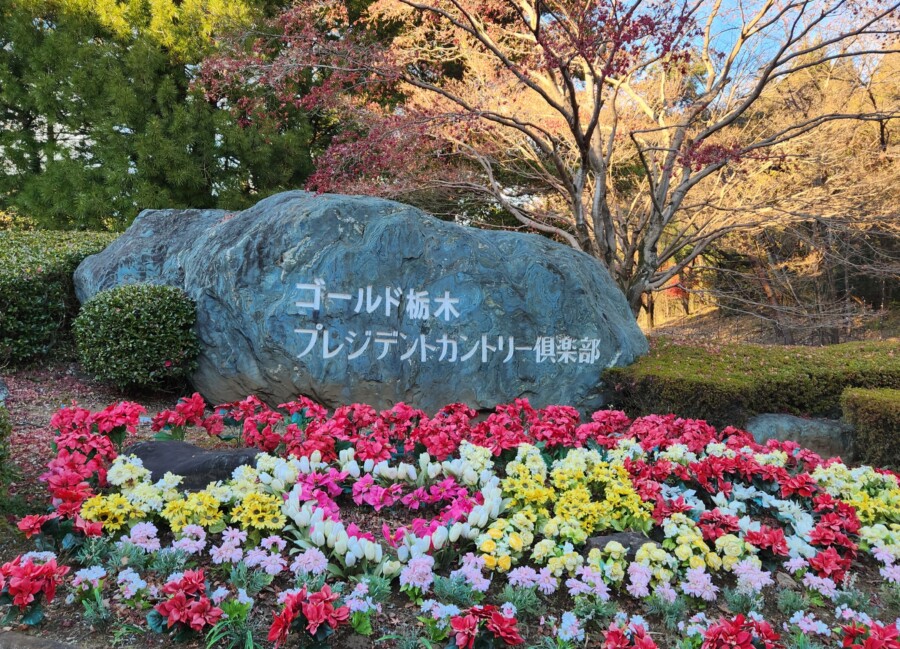 江東区大島のゴルフスクールのいもり的ゴルフ場ガイド！