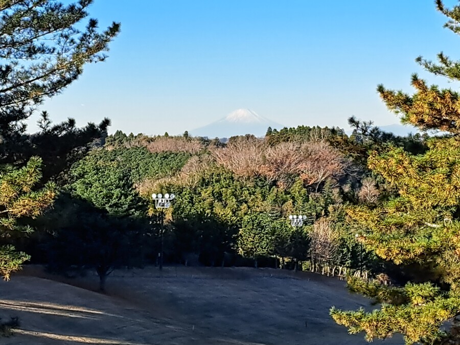 江東区大島のゴルフスクールのいもり的ゴルフ場ガイド・市原ゴルフ市原C編