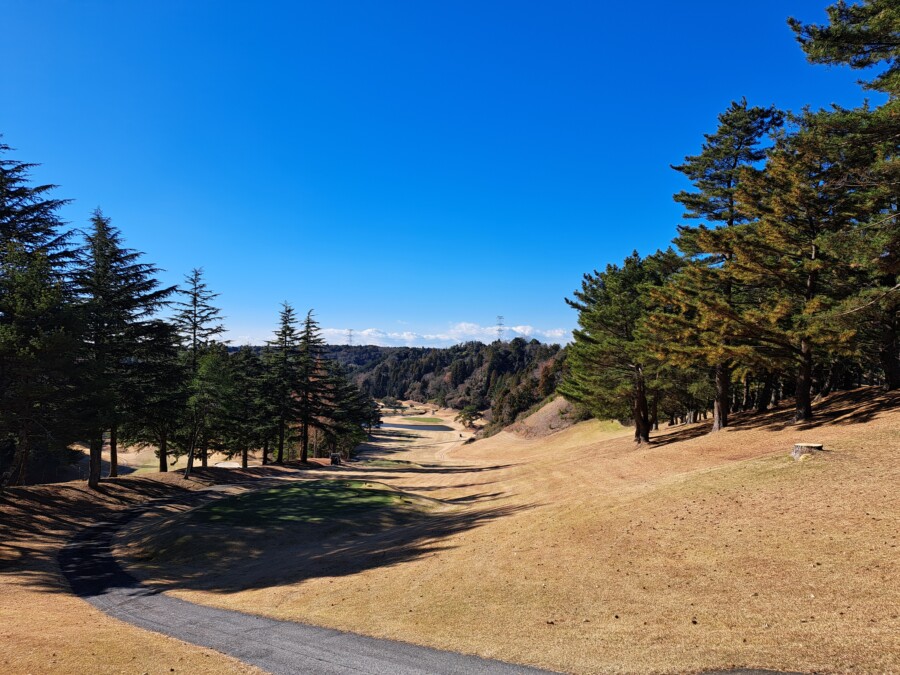 江東区大島のゴルフスクールのいもり的ゴルフ場ガイド・市原ゴルフ市原C編