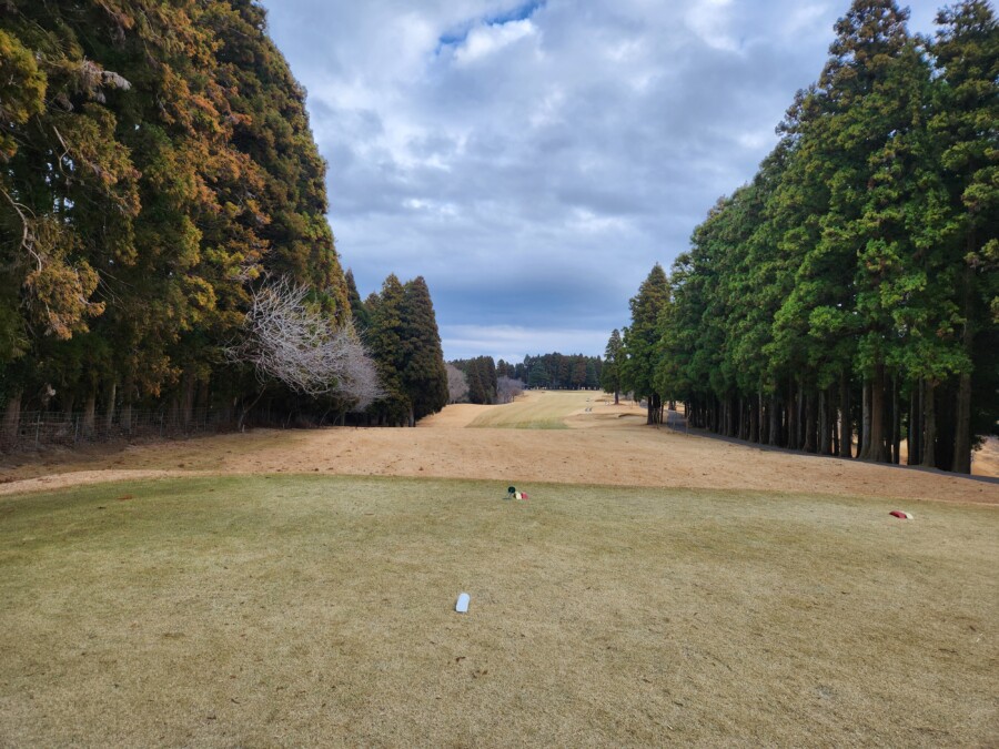 江東区大島のゴルフレッスン・いもりGSSのゴルフ場ガイド・千葉国際編