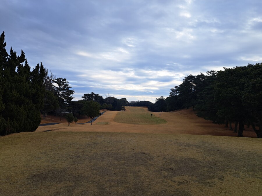 江東区大島のゴルフスクール・レッスンのいもりGSSのいもり的ゴルフ場ガイド・桜GC編