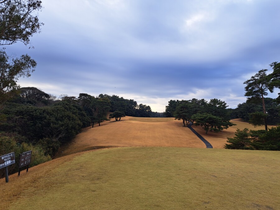 江東区大島のゴルフスクール・レッスンのいもりGSSのいもり的ゴルフ場ガイド・桜GC編