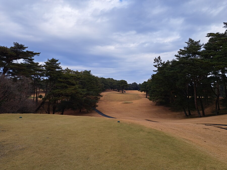 江東区大島のゴルフスクール・レッスンのいもりGSSのいもり的ゴルフ場ガイド・桜GC編