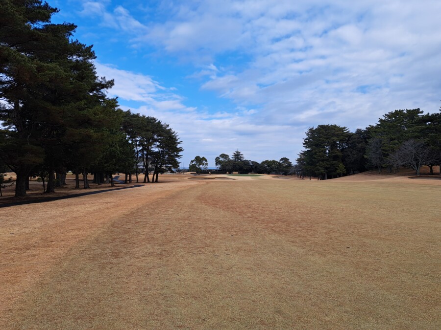 江東区大島のゴルフスクール・レッスンのいもりGSSのいもり的ゴルフ場ガイド・桜GC編