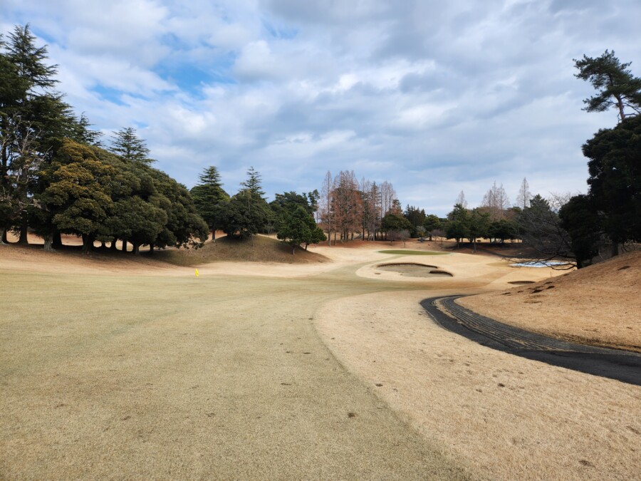 江東区大島のゴルフスクール・レッスンのいもりGSSのいもり的ゴルフ場ガイド・桜GC編