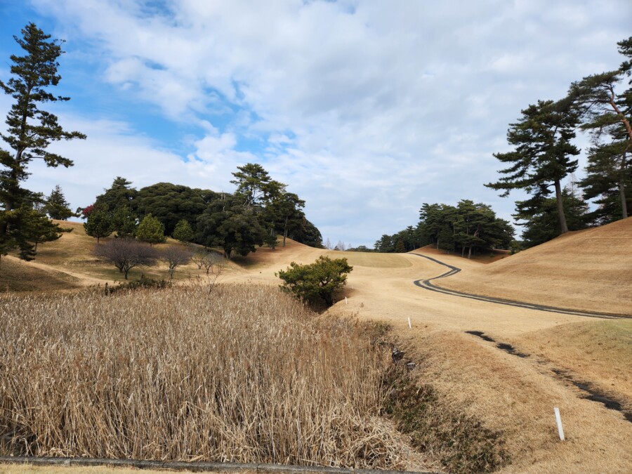 江東区大島のゴルフスクール・レッスンのいもりGSSのいもり的ゴルフ場ガイド・桜GC編