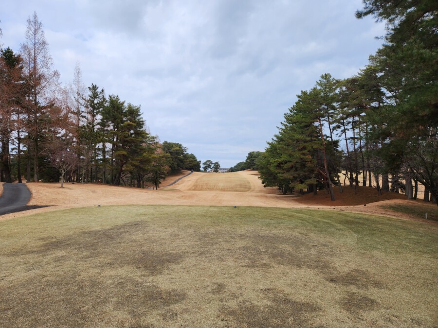 江東区大島のゴルフスクール・レッスンのいもりGSSのいもり的ゴルフ場ガイド・桜GC編