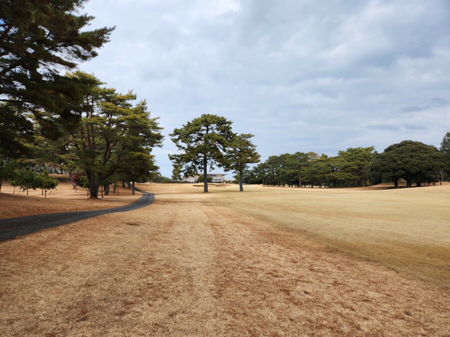 江東区大島のゴルフスクール・レッスンのいもりGSSのいもり的ゴルフ場ガイド・桜GC編