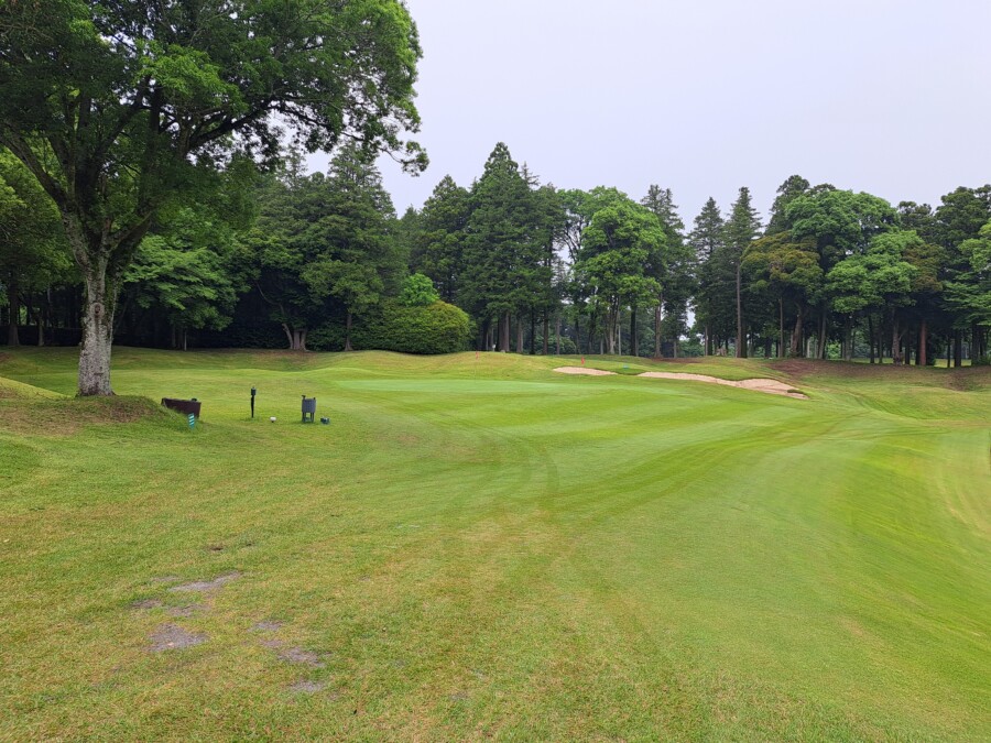 江東区大島のゴルフスクール・いもりゴルフSSのいもり的ゴルフ場ガイド・グレンオークスCC編