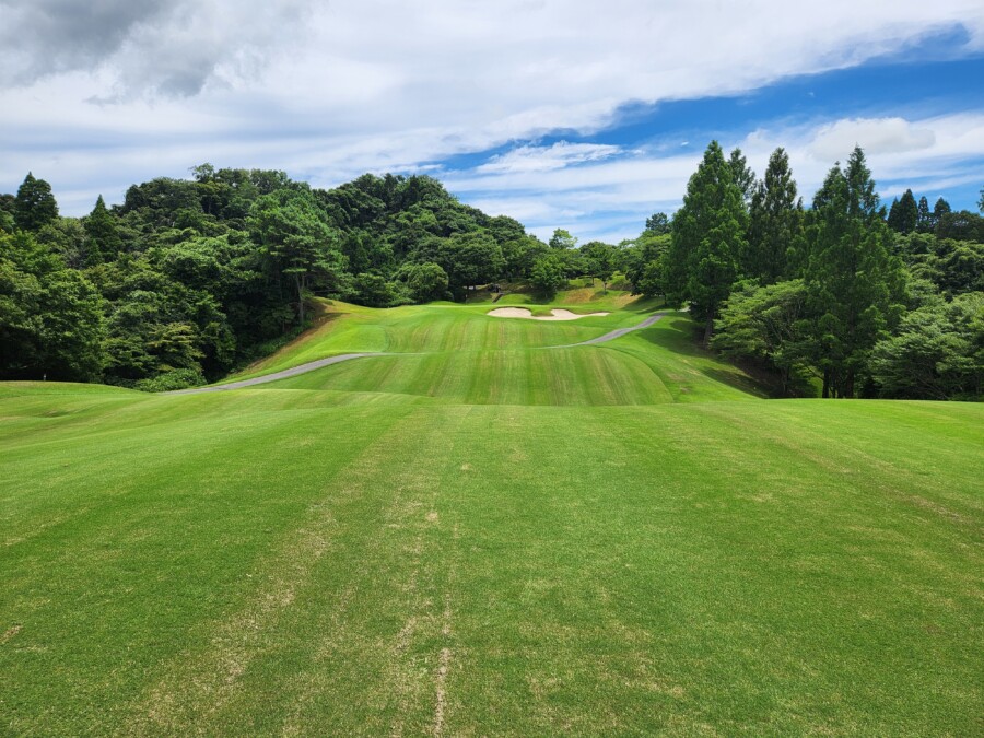 江東区大島のゴルフスクール・いもりゴルフSSのいもり的ゴルフ場ガイド・ゴールデンクロス編！