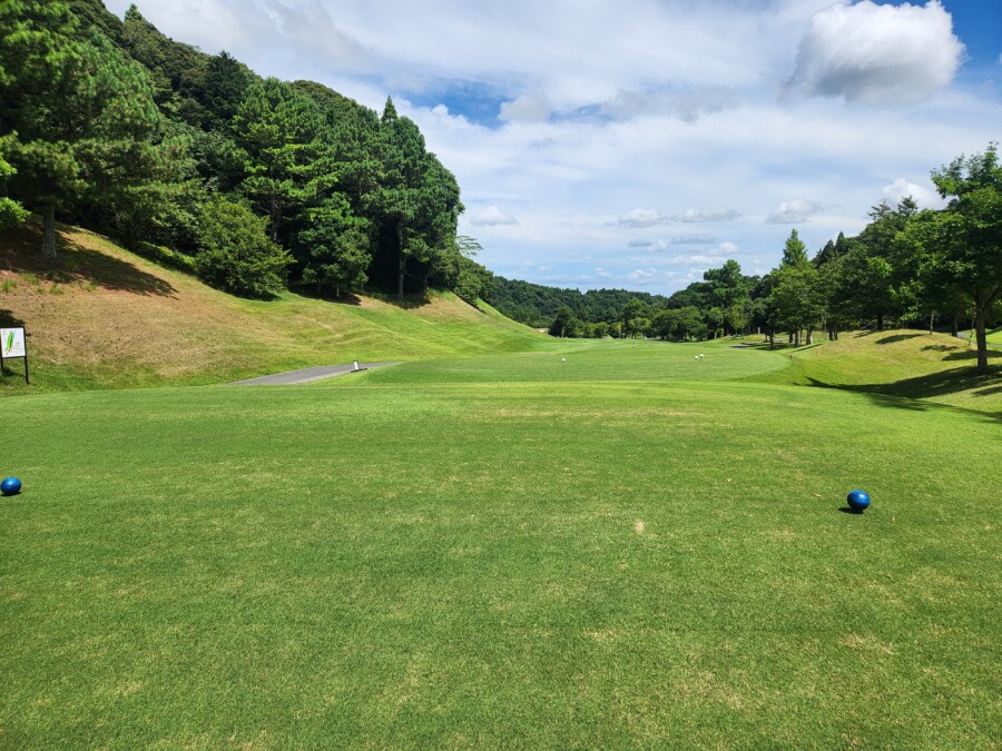 江東区大島のゴルフスクール・いもりゴルフSSのいもり的ゴルフ場ガイド・ゴールデンクロス編！