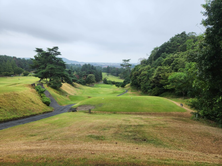 江東区のゴルフスクール・ゴルフレッスン・いもりゴルフSSのいもり的ゴルフ場ガイド・唐沢GC唐沢C編！