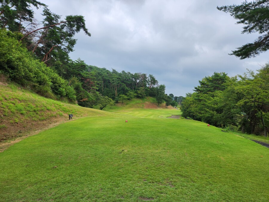江東区のゴルフスクール・ゴルフレッスン・いもりゴルフSSのいもり的ゴルフ場ガイド・唐沢GC唐沢C編！