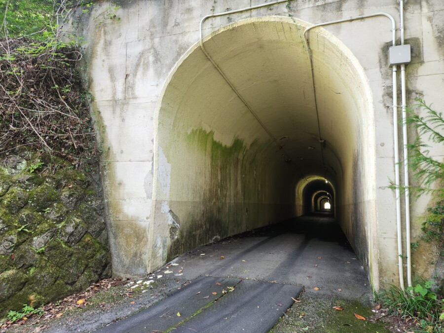 江東区おおじまのゴルフスクール・いもりGSSのゴルフ場ガイド！唐沢・三好編！