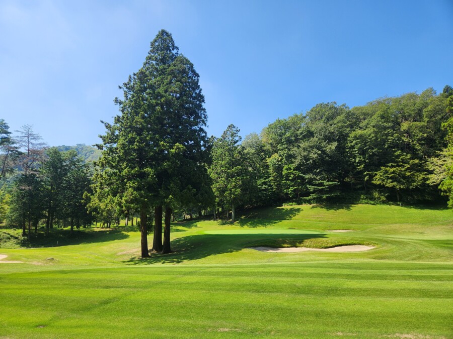 江東区おおじまのゴルフスクール・いもりGSSのゴルフ場ガイド！唐沢・三好編！