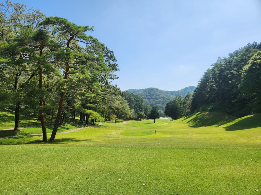 江東区おおじまのゴルフスクール・いもりGSSのゴルフ場ガイド！唐沢・三好編！