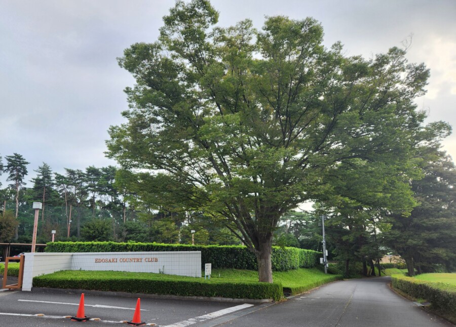 江東区大島（おおじま）のゴルフスクール・ゴルフレッスンなら、いもりゴルフさあポートスタジオ！
