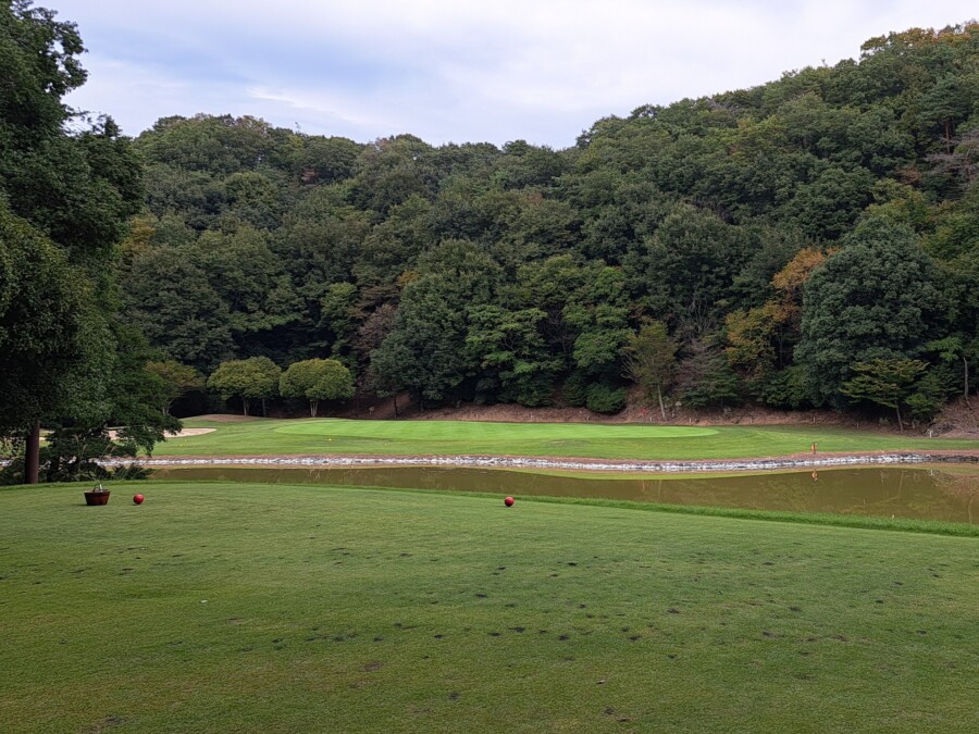 江東区大島のゴルフスクール・ゴルフレッスン・いもりGSSのゴルフ場ガイド!緑野CC編