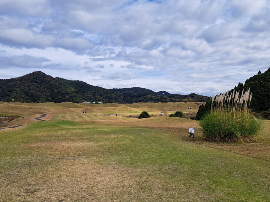 江東区おおじまのゴルフレッスン・いもりGSSのゴルフ場ガイド！新君津ベルグリーンカントリー倶楽部編