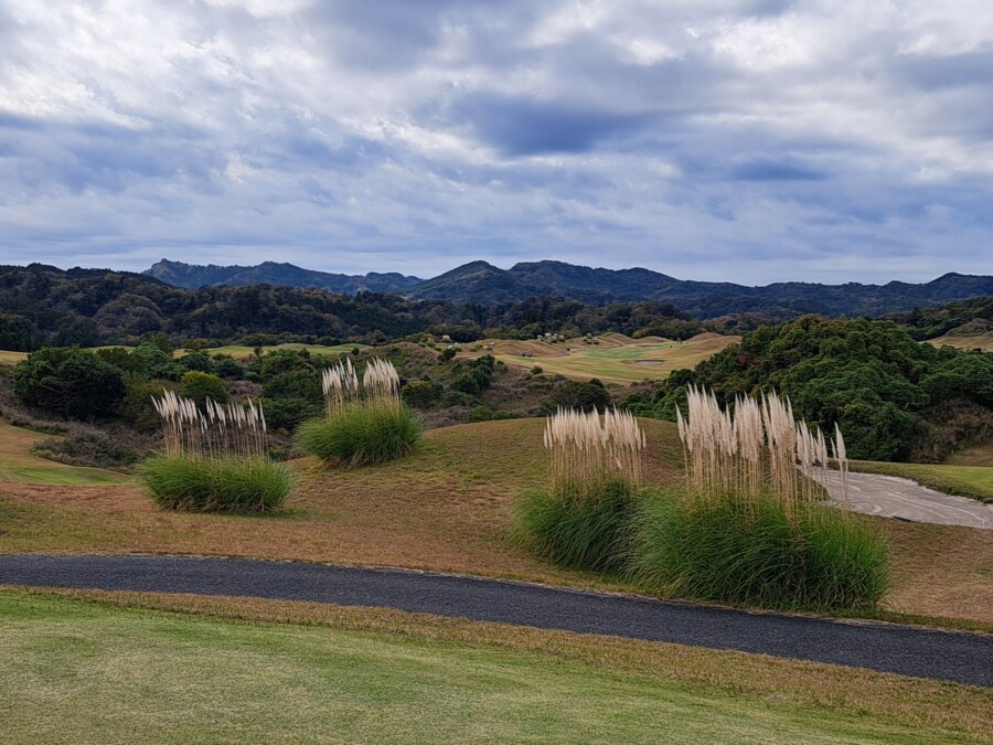 江東区おおじまのゴルフレッスン・いもりGSSのゴルフ場ガイド！新君津ベルグリーンカントリー倶楽部編