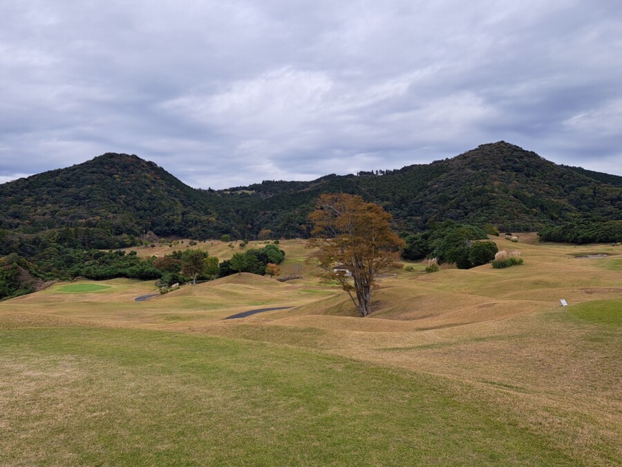 江東区おおじまのゴルフレッスン・いもりGSSのゴルフ場ガイド！新君津ベルグリーンカントリー倶楽部編