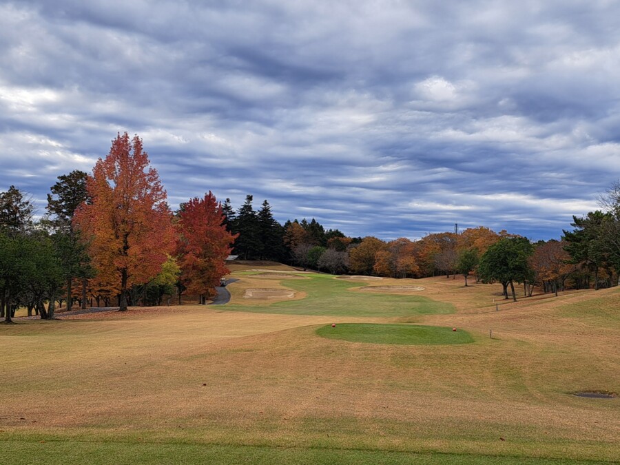 江東区大島のゴルフレッスン・いもりゴルフSSのゴルフ場ガイド！笠間CC編