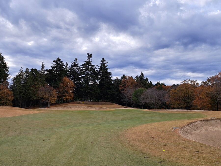 江東区大島のゴルフレッスン・いもりゴルフSSのゴルフ場ガイド！笠間CC編
