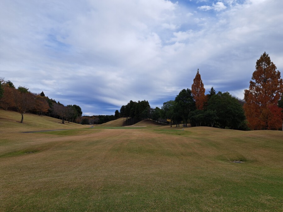 江東区大島のゴルフレッスン・いもりゴルフSSのゴルフ場ガイド！笠間CC編