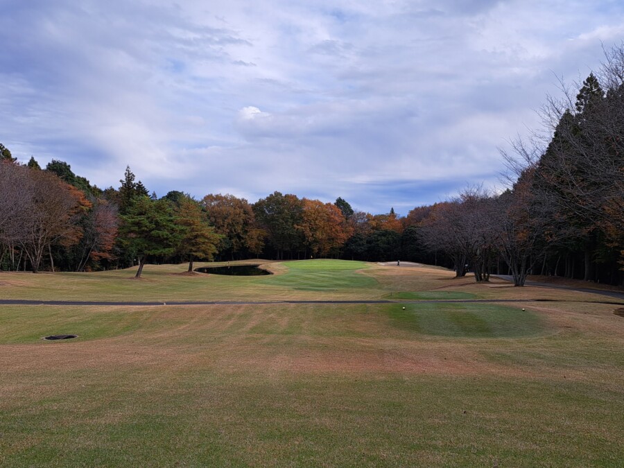江東区大島のゴルフレッスン・いもりゴルフSSのゴルフ場ガイド！笠間CC編