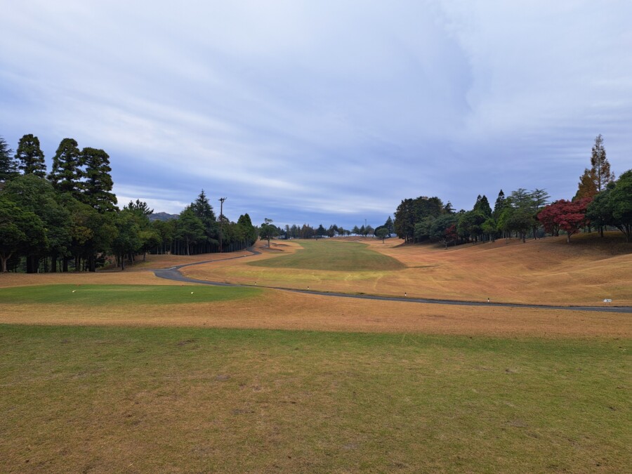 江東区のゴルフレッスンならいもりゴルフSS。ゴルフ場ガイド・ムーンレイクGC鶴舞編